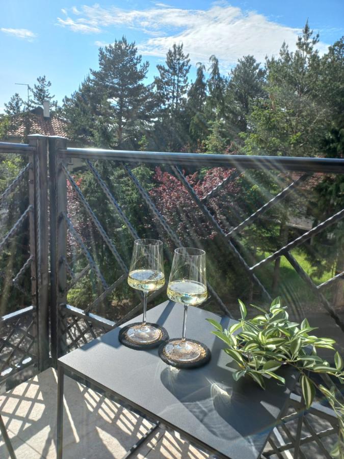 Zlatibor Apartman Luxury & Spa Dijana Exterior foto